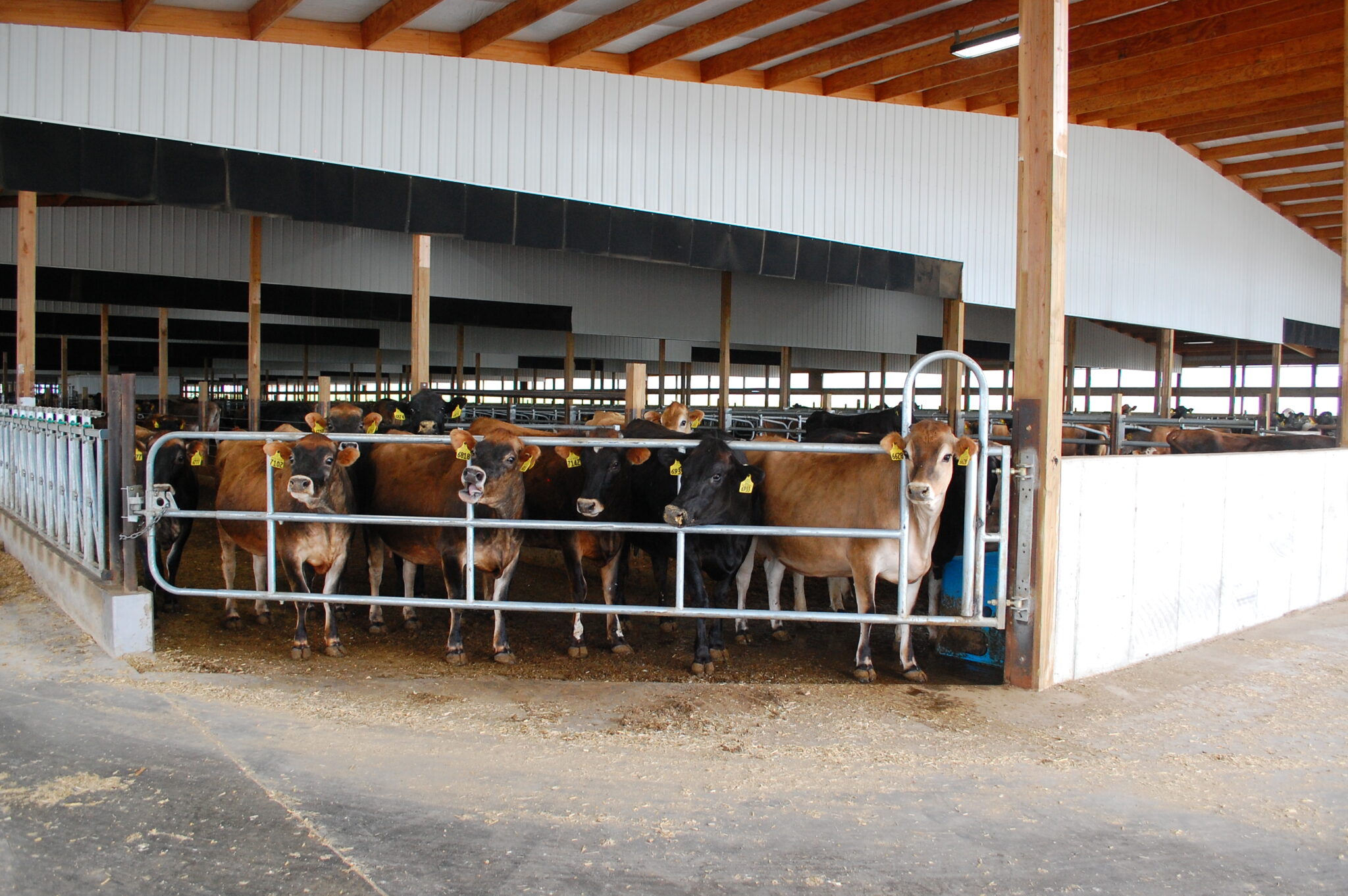 Adjustable Gates VESArtex