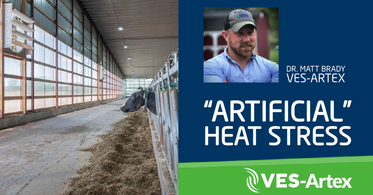 "Artificial" Heat Stress VESArtex