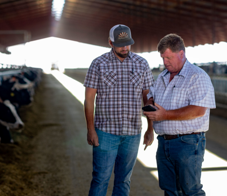 Dairies Don’t Need More Data – They Need Information