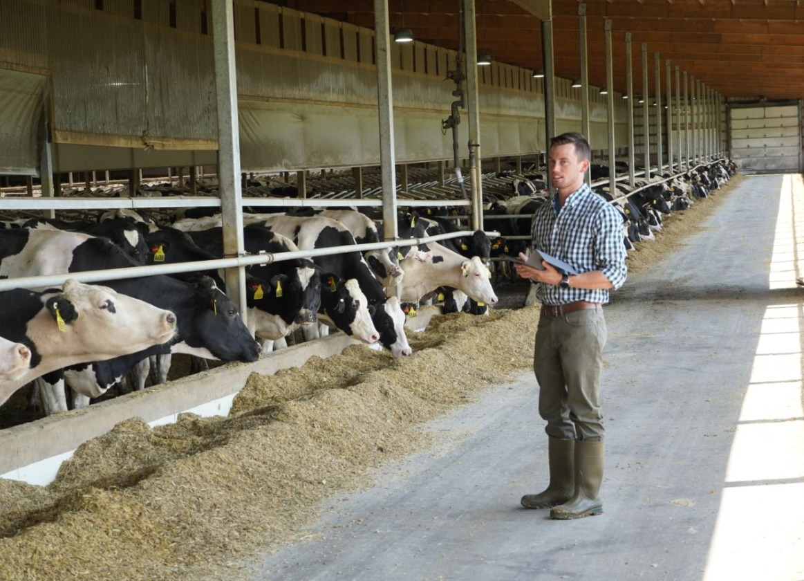 Intelligent Barn™ VESArtex