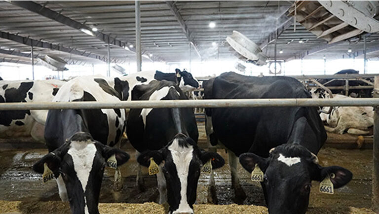 VES-Artex Cooling Solutions Video Placeholder