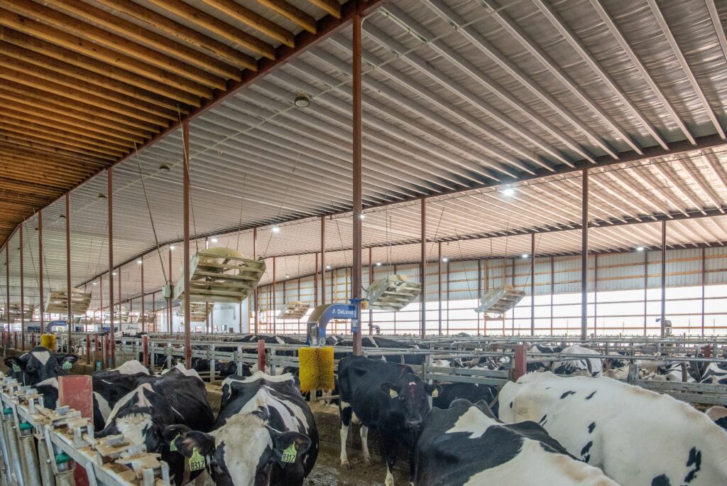 Monitoring Dairy Cattle Behavior Using Smart Barn Technologies