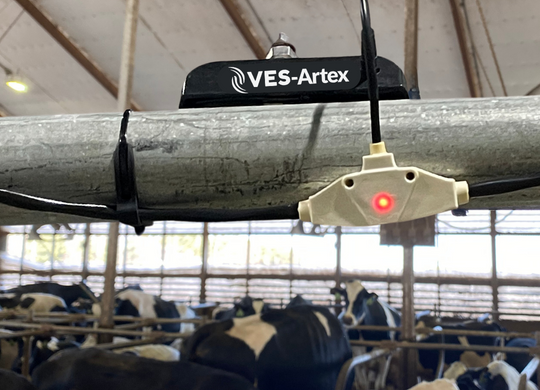 Revolutionizing Cow Cooling: VES-Artex Unveils Intelligent Soaker 2.0