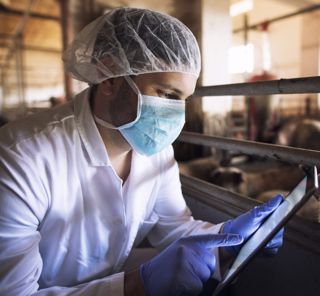 Dairy Farm Biosecurity: Practical Measures to Protect Your Herd and Staff
