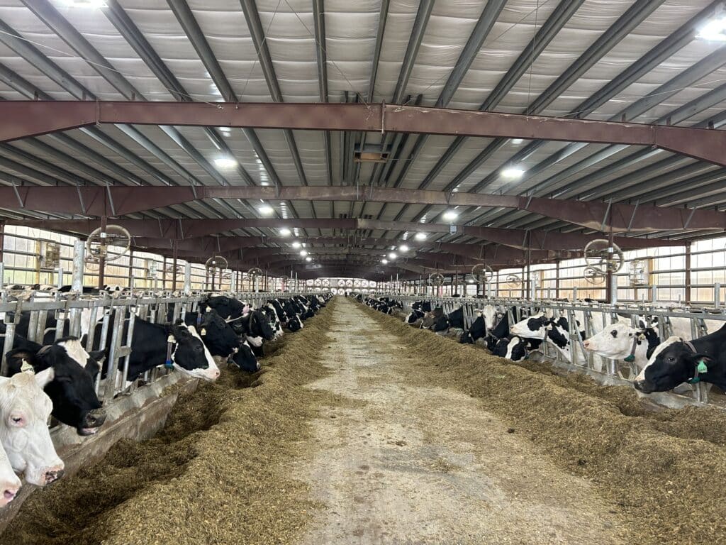 Barn Management Matters in Today Market